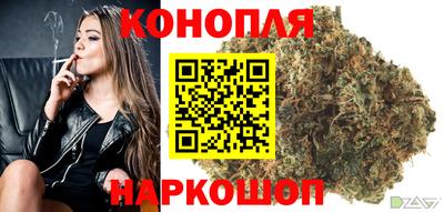 индика Краснознаменск