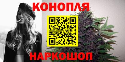 индика Краснознаменск