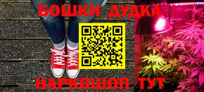 индика Краснознаменск