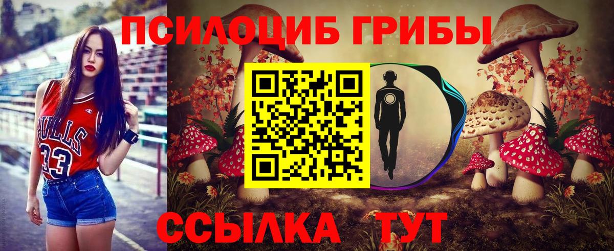 Галлюциногенные грибы прущие грибы  Вход с VPN  Усть-Джегута  Галлюциногенные грибы Psilocybine cubensis 