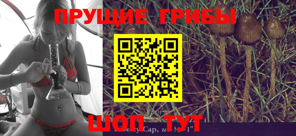 Псилоцибиновые грибы ЛСД Усть-Джегута